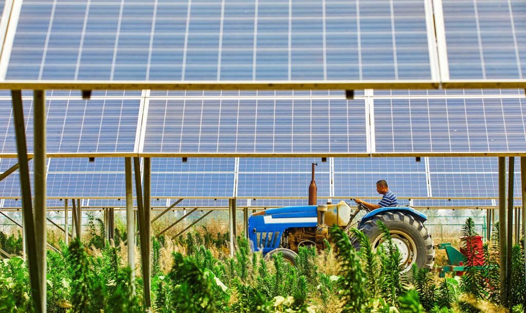 starting a solar farm