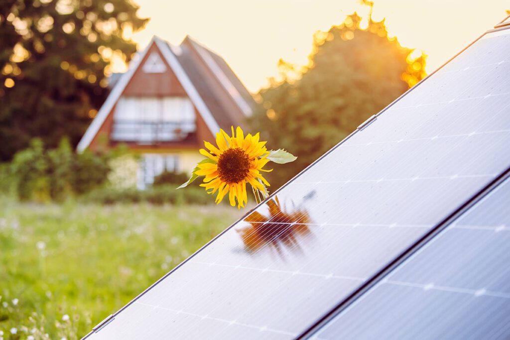 what is a solar farm